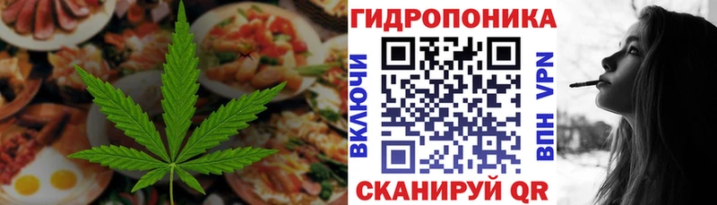 Еда ТГК марихуана  OMG ссылка  Кочубеевское 