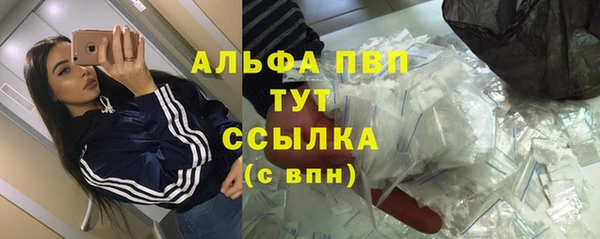сатива Абинск