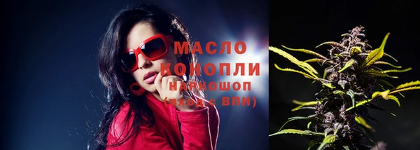 сатива Абинск