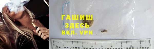 хмурый Абаза