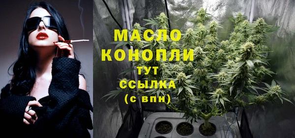 сатива Абинск