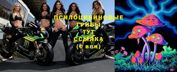 хмурый Абаза