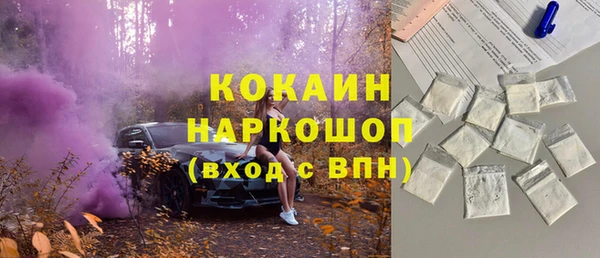 хмурый Абаза
