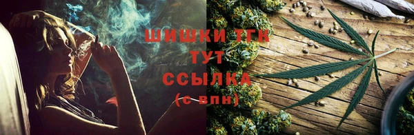 хмурый Абаза