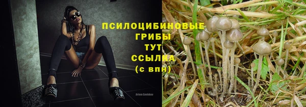 соль ск Алзамай