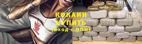 соль ск Алзамай