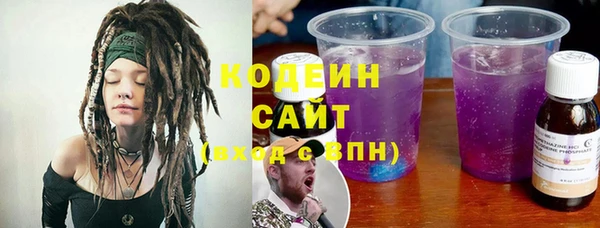хмурый Абаза